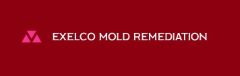 Exelco Mold Remediation